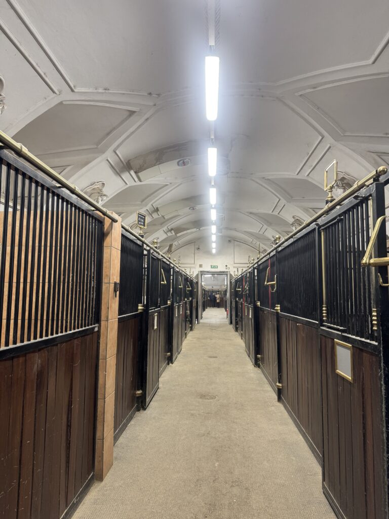 VaniVanity_Spanish Riding School