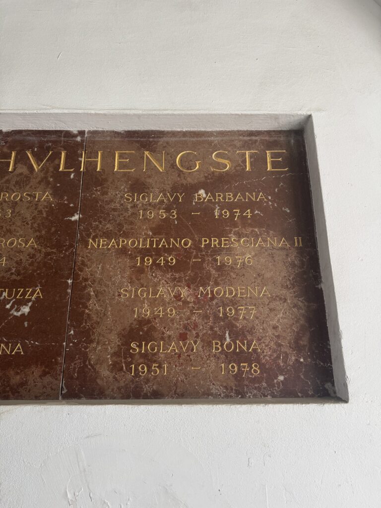 VaniVanity_Spanish Riding School