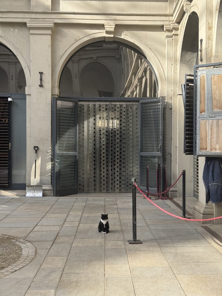 VaniVanity_Spanish Riding School