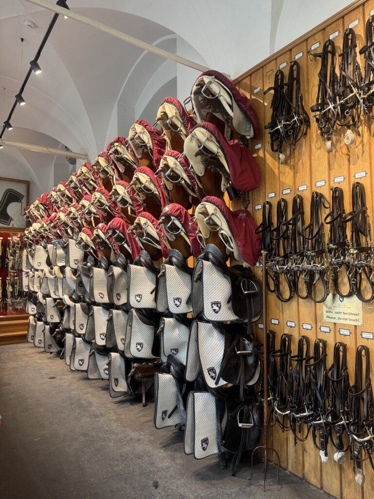 VaniVanity_Spanish Riding School