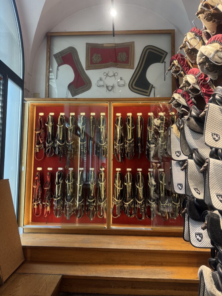 VaniVanity_Spanish Riding School