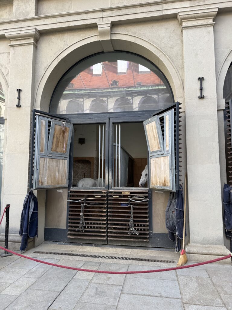 VaniVanity_Spanish Riding School