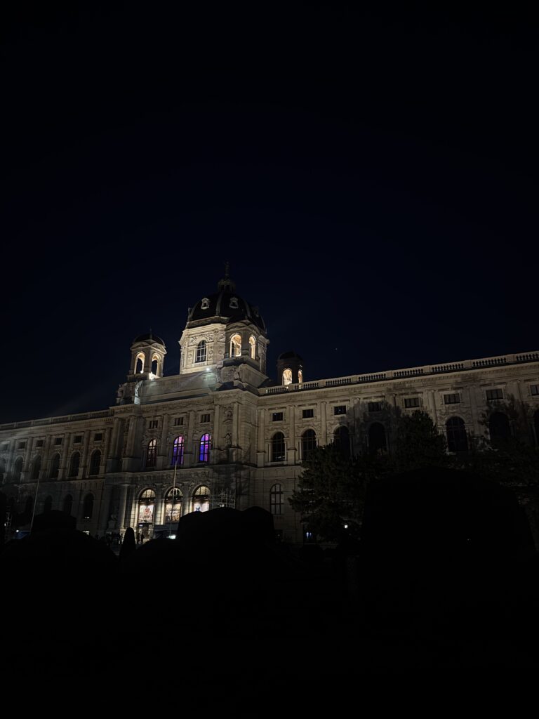 VaniVanity_Kunstschatzi