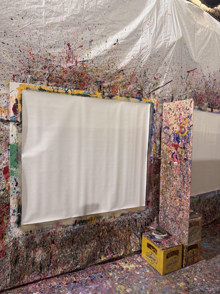 VaniVanity_The Action Painters