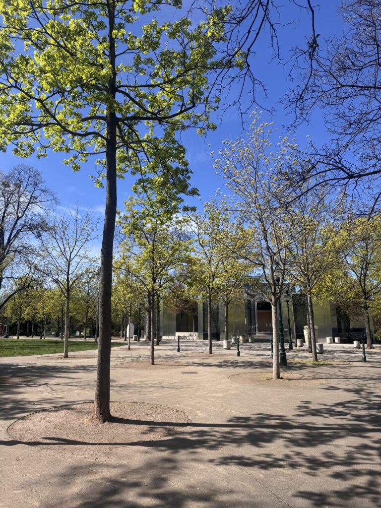 VaniVanity_Spring arrives in Vienna