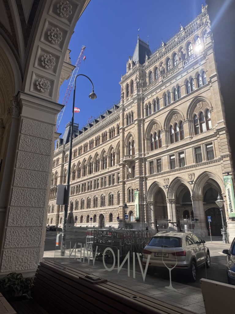 VaniVanity_Spring arrives in Vienna