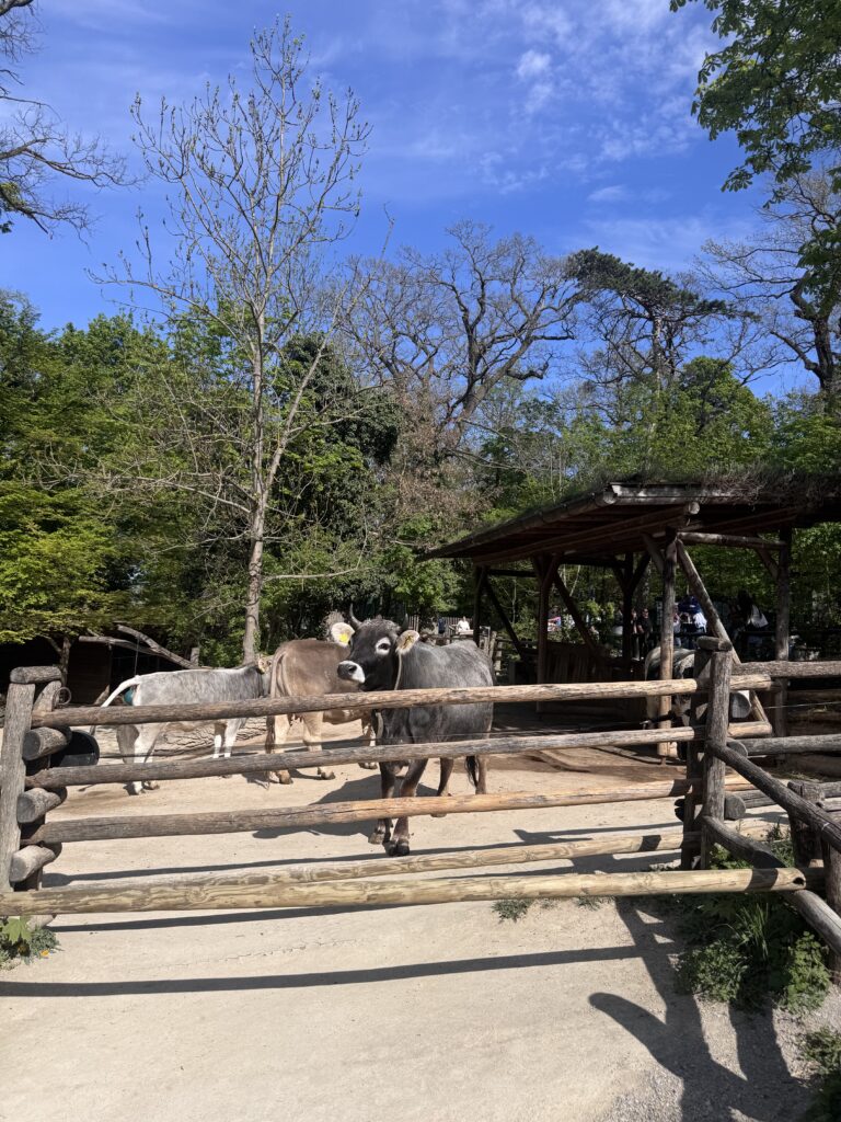 VaniVanity_Tiergarten Schönbrunn Zoo