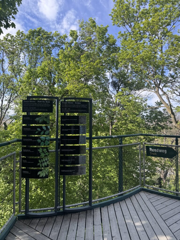 VaniVanity_Tiergarten Schönbrunn Zoo