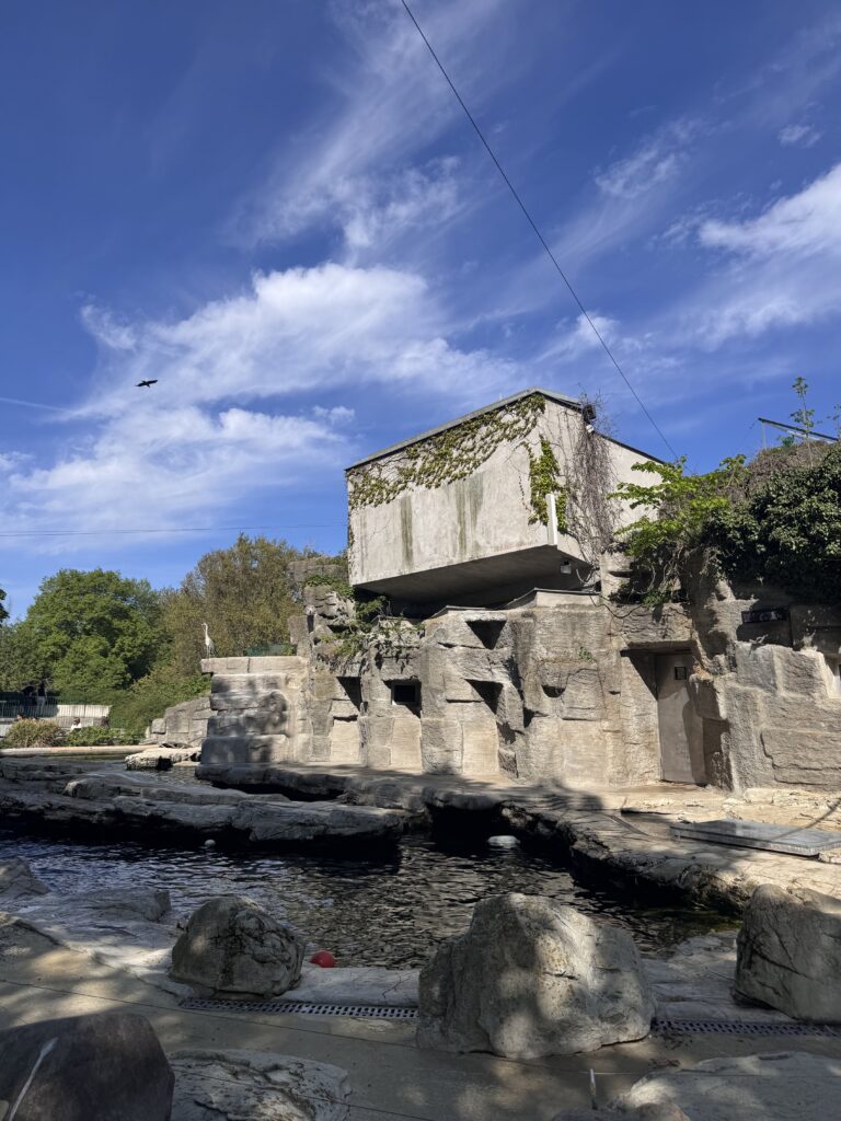 VaniVanity_Tiergarten Schönbrunn Zoo