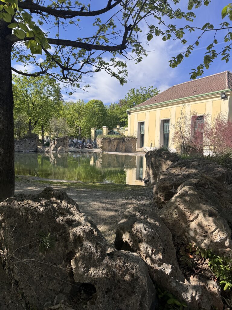 VaniVanity_Tiergarten Schönbrunn Zoo