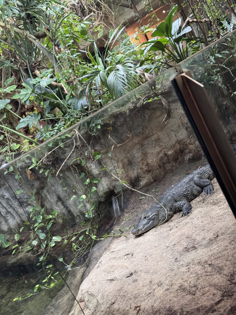 VaniVanity_Tiergarten Schönbrunn Zoo