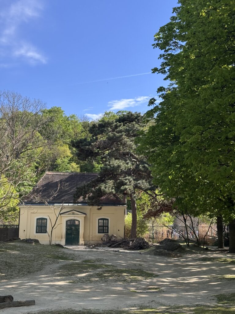 VaniVanity_Tiergarten Schönbrunn Zoo