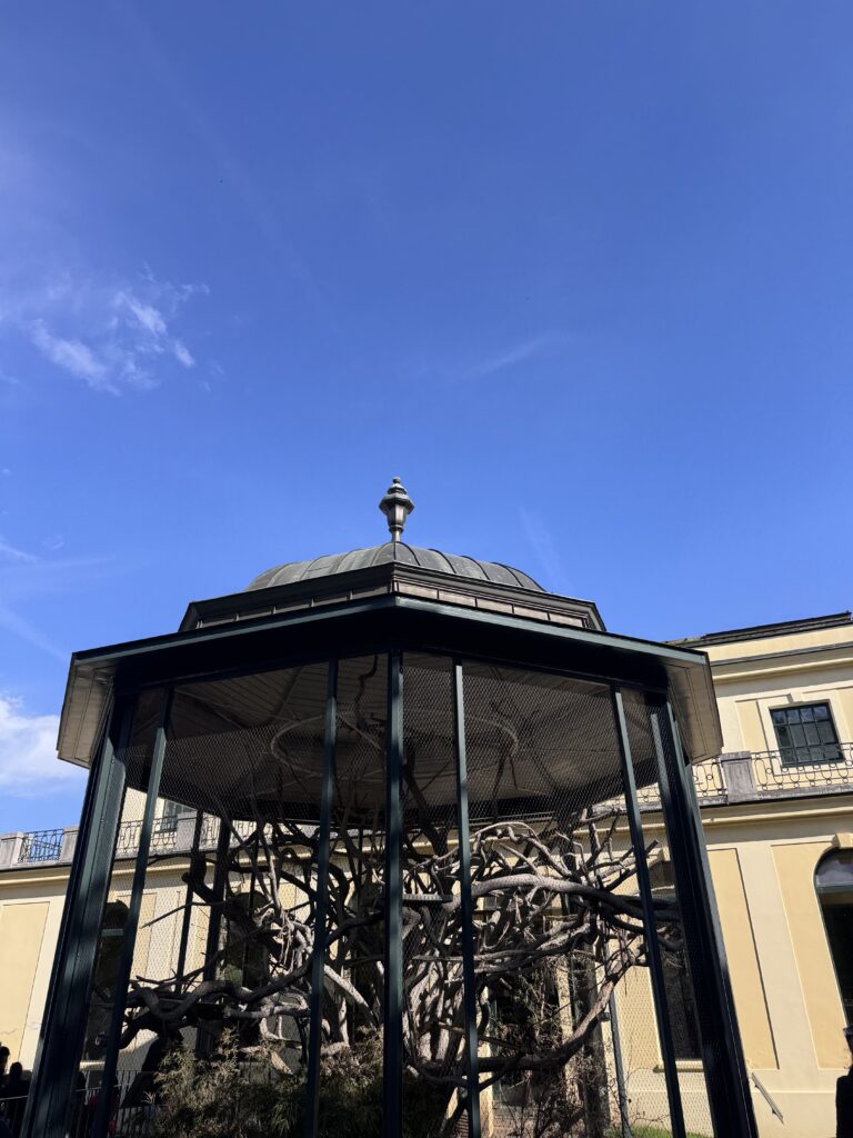 VaniVanity_Tiergarten Schönbrunn Zoo