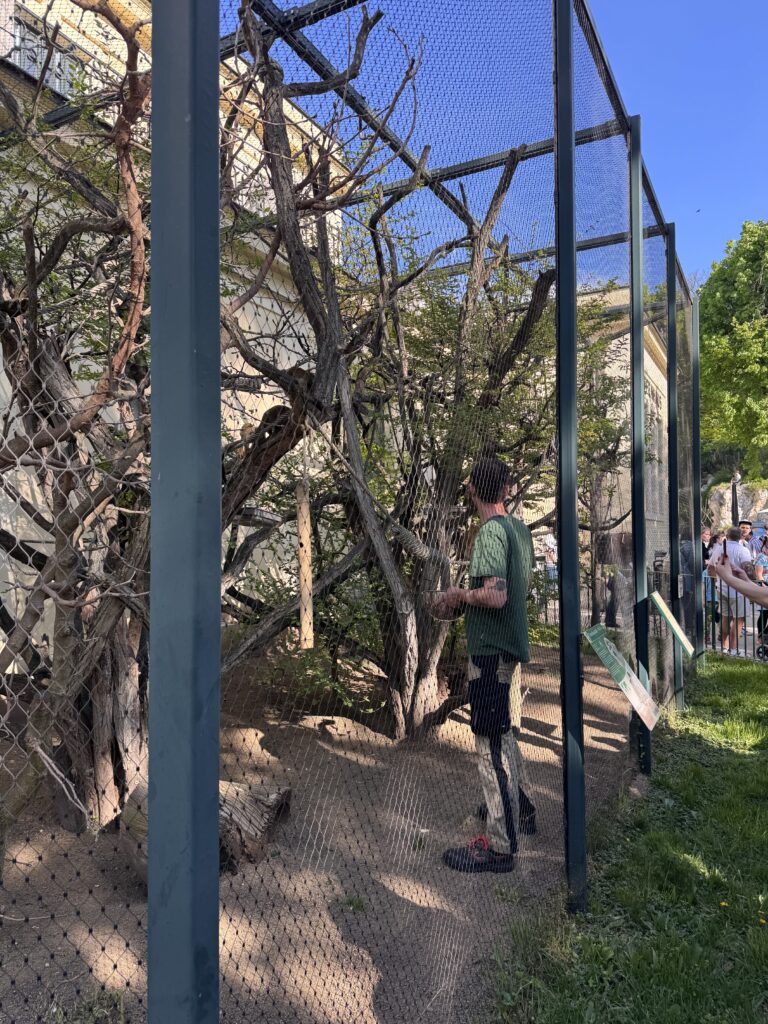 VaniVanity_Tiergarten Schönbrunn Zoo