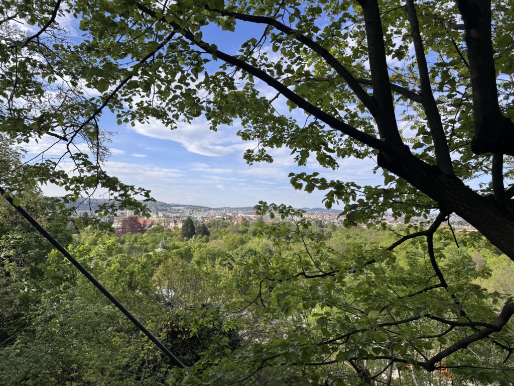 VaniVanity_Tiergarten Schönbrunn Zoo