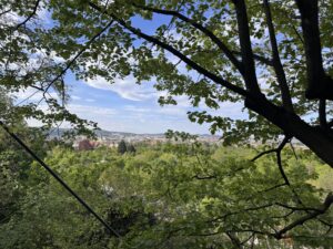 VaniVanity_Tiergarten Schönbrunn Zoo