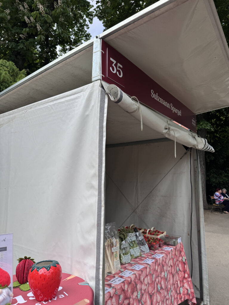 VaniVanity_Food Festival