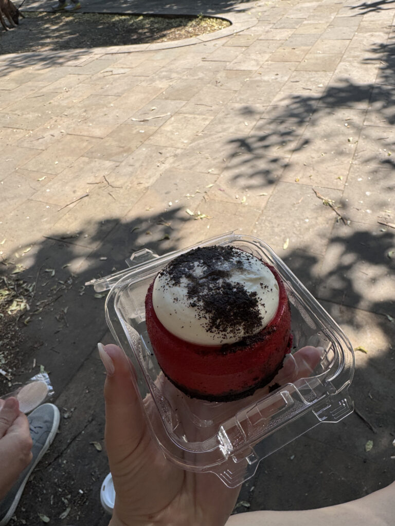 VaniVanity_New York Food Guide