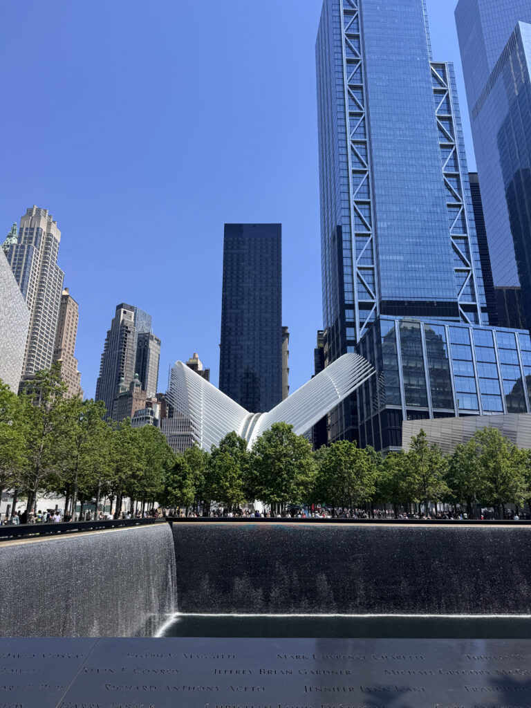 VaniVanity_New York_Part 2