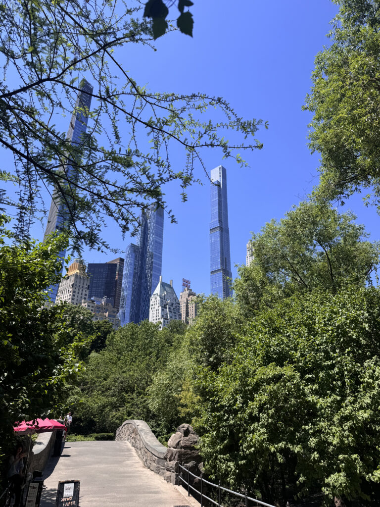 VaniVanity_New York_Part 2