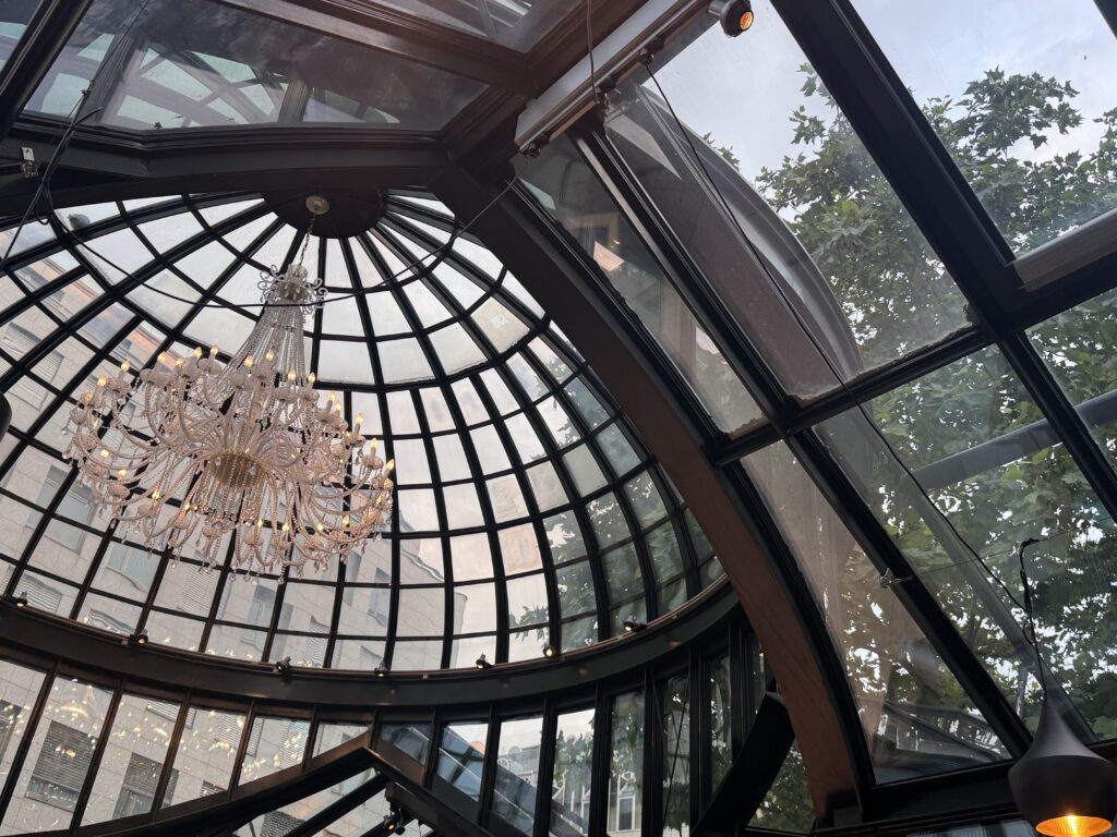 VaniVanity_Clementine im Glashaus