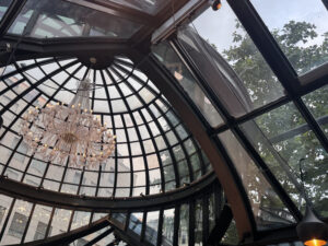 VaniVanity_Clementine im Glashaus