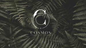 VaniVanity_Brazilian Lymphatic drainage_Cosmos Cosmetic