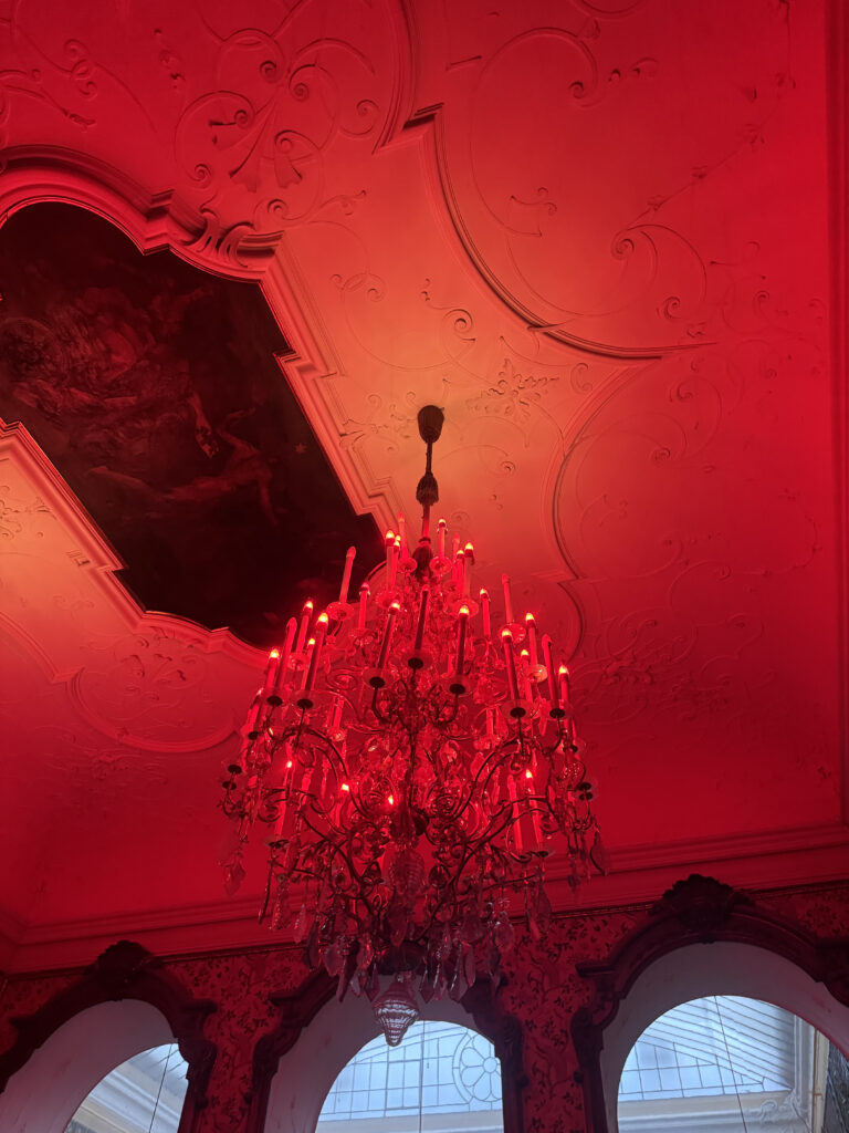 VaniVanity_Summer Night Ball_Cirque Rouge