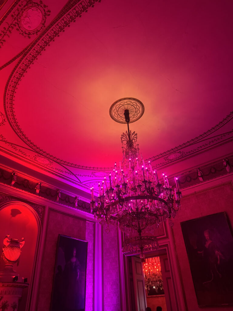 VaniVanity_Summer Night Ball_Cirque Rouge