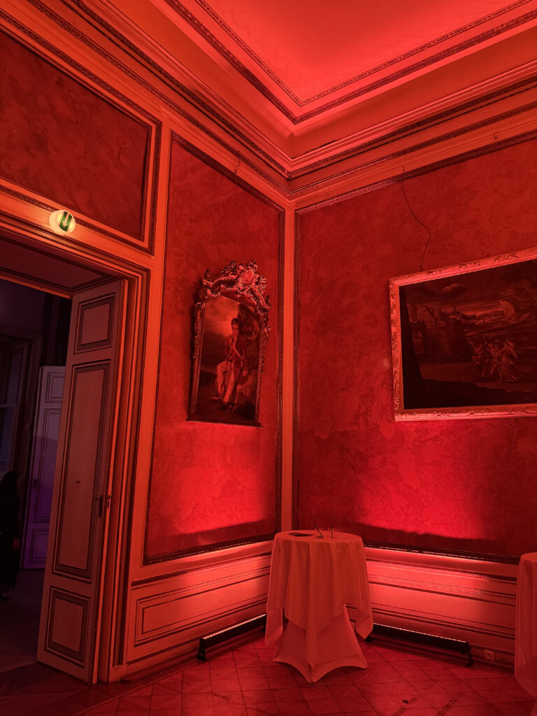 VaniVanity_Summer Night Ball_Cirque Rouge