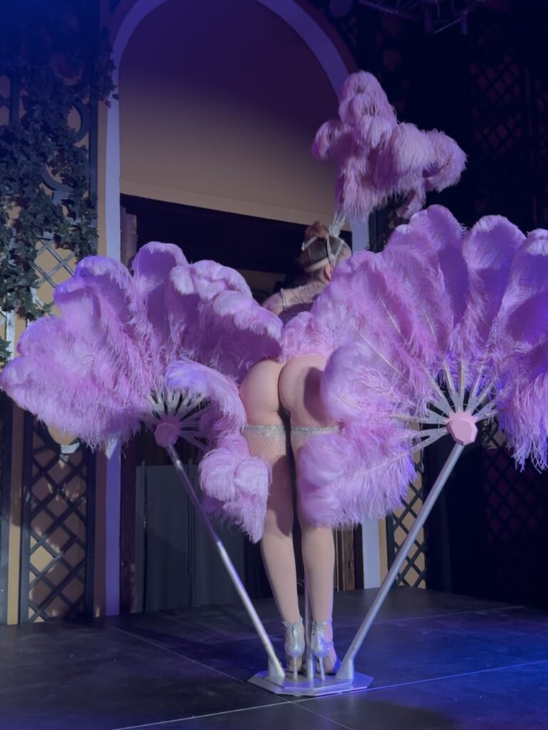 VaniVanity_Summer Night Ball_Cirque Rouge