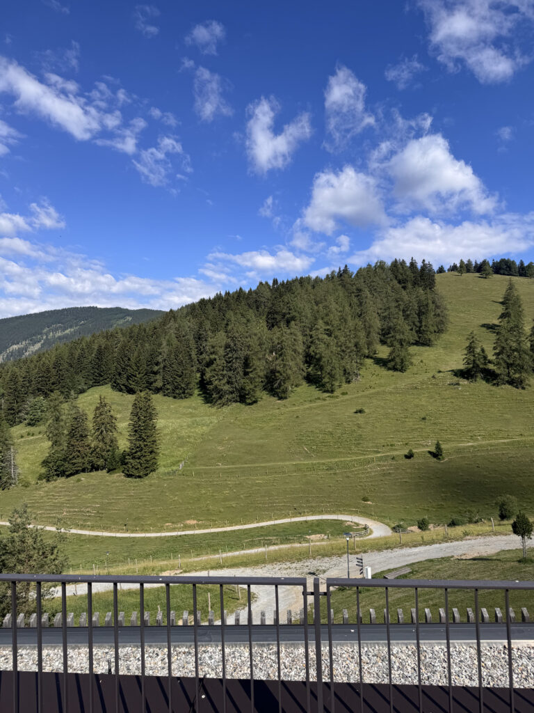 VaniVanity_Almwellness Hotel Pierer