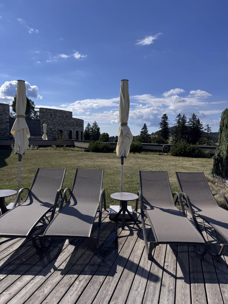 VaniVanity_Almwellness Hotel Pierer