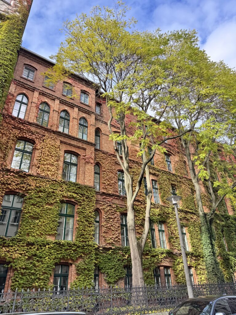 VaniVanity_Berlin