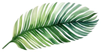 360_F_807419001_hRBOdreFMcaTEloJxWkgcgANTJcdA29l 360_F_807419001_hRBOdreFMcaTEloJxWkgcgANTJcdA29l
